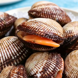 Fresh-Frozen Live Small Ark Shell