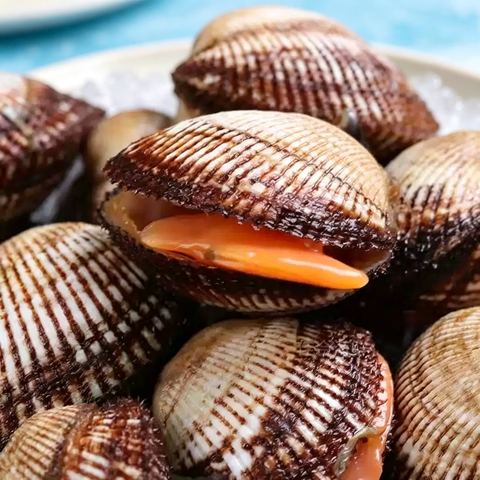 Fresh-Frozen Live Small Ark Shell