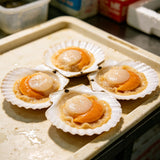 Fresh Scallops in Shell with Roe