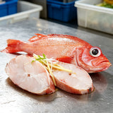 Red Snapper Steaks and Whole Fish