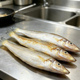 Fresh Whole Silver Fish for Grilling